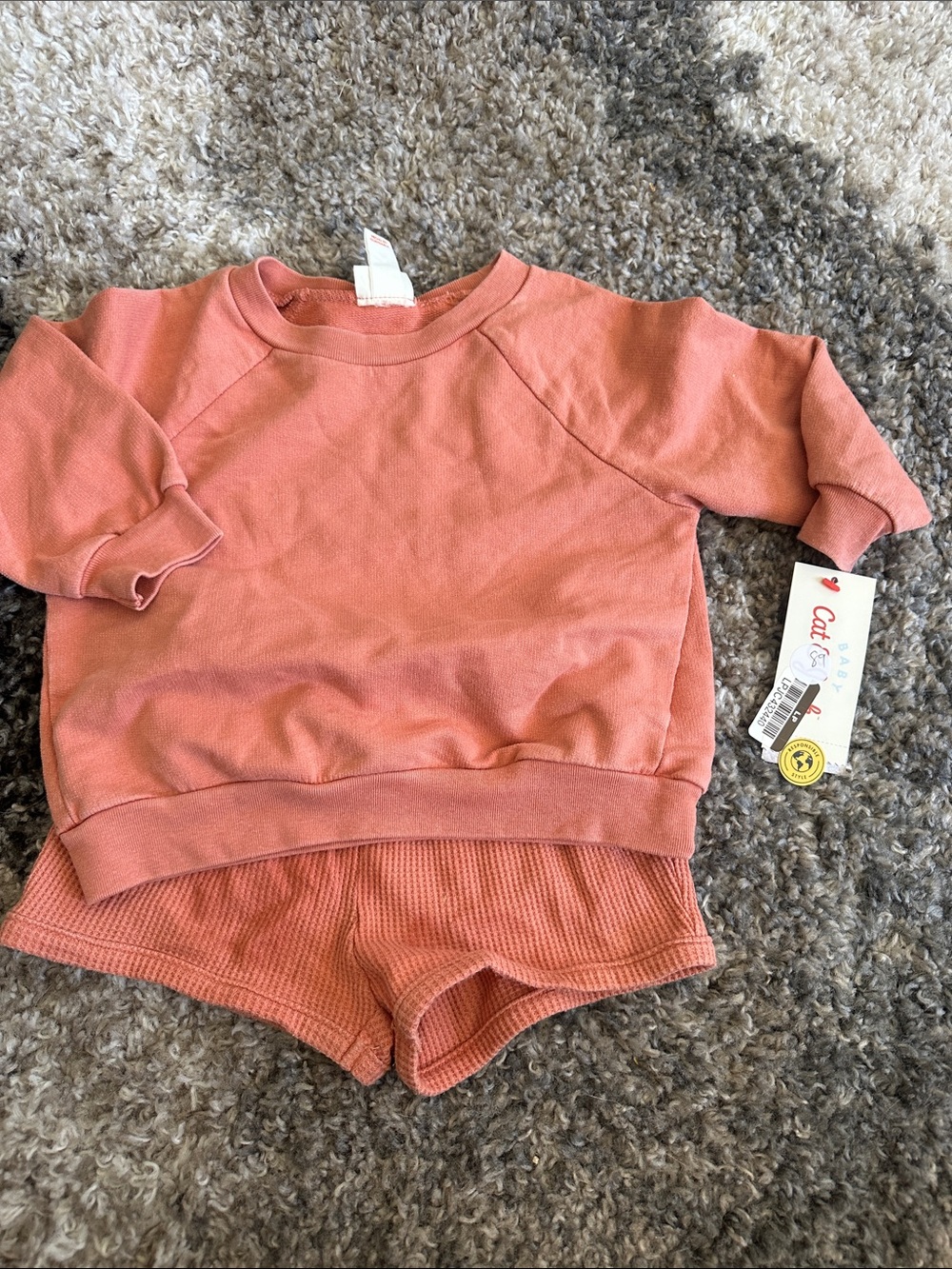 Cat & Jack Coral Pink Sweatshirt and Shorts Set